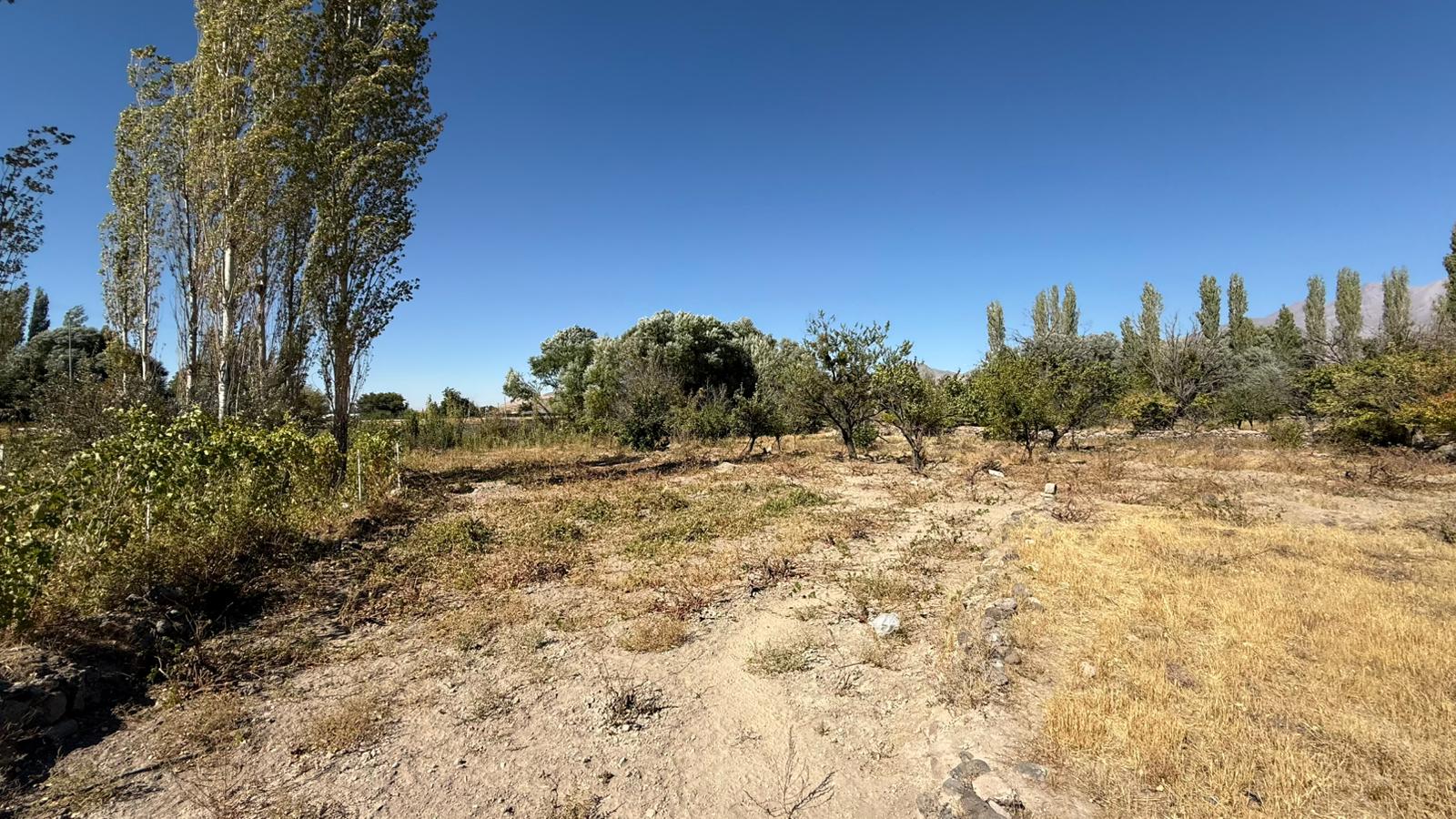 KAYSERİ DEVELİ GÜNEYAŞAĞI MAHALLESİ GEDİNE MEVKİİNDE SATILIK BAĞ